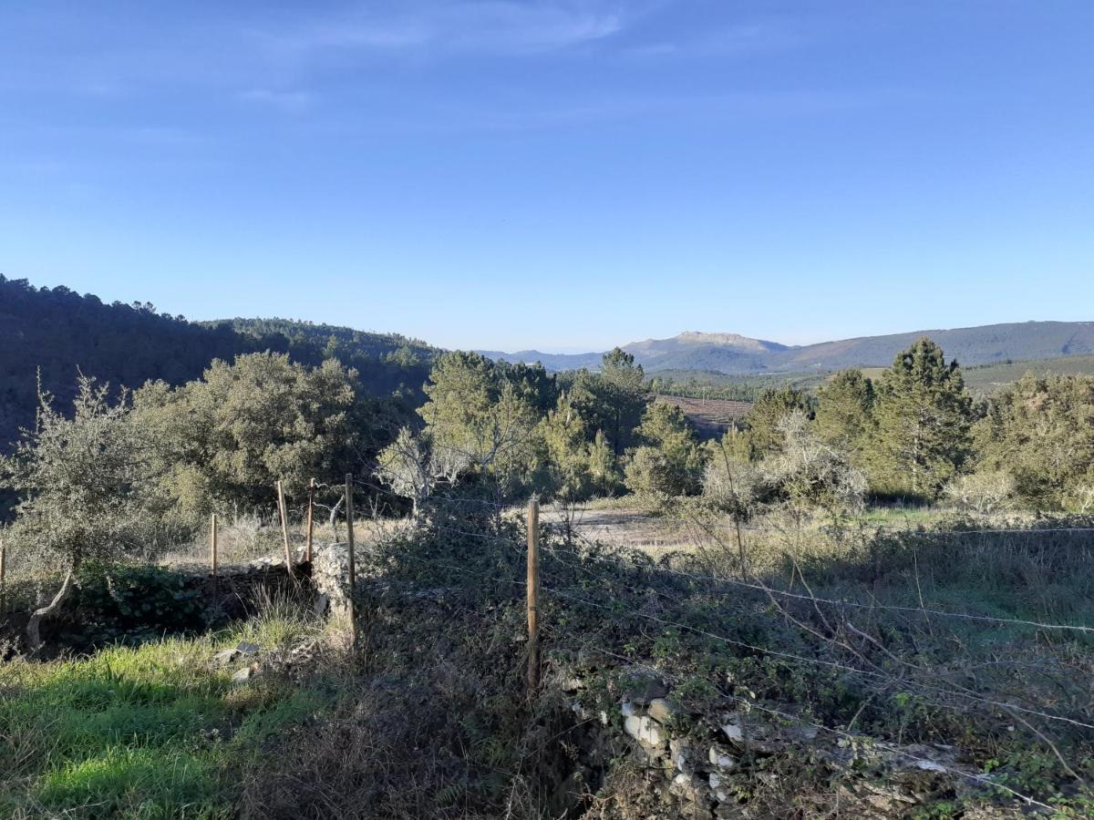 Quinta Das Lameirinhas Marvao  Luaran gambar