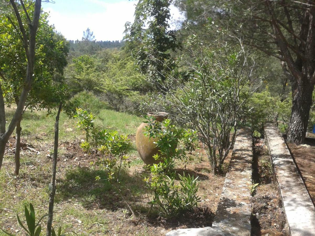 Quinta Das Lameirinhas Marvao  Luaran gambar