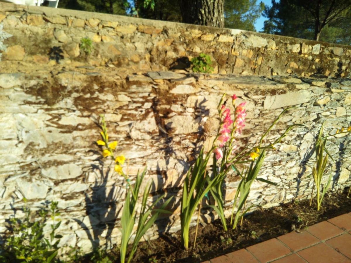 Quinta Das Lameirinhas Marvao  Luaran gambar